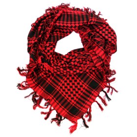 IMG_2958_2__1536855312_730